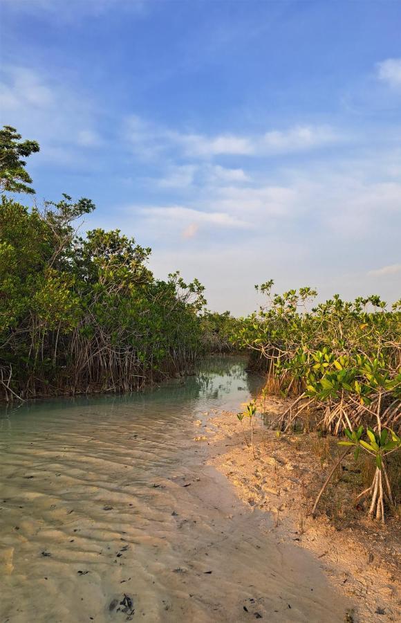 Cayuco Maya Bacalar Dış mekan fotoğraf